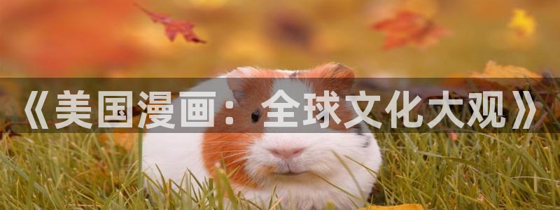 3d禁漫天堂漫画：《美国漫画：全球文化大观》