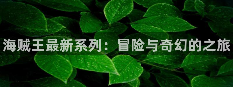 禁漫天堂看不了：海贼王最新系列：冒险与奇幻的之旅